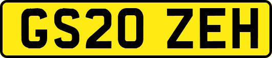 GS20ZEH