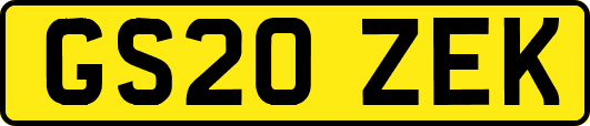 GS20ZEK