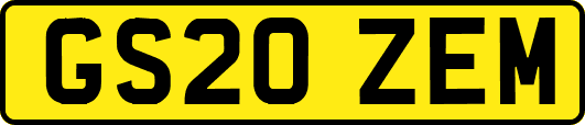 GS20ZEM