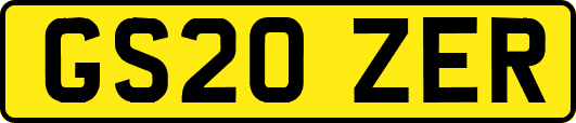GS20ZER