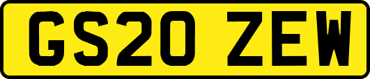 GS20ZEW