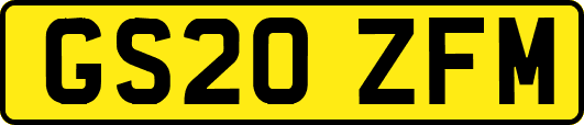 GS20ZFM
