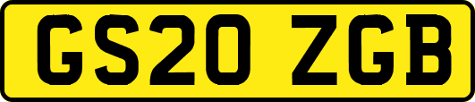 GS20ZGB
