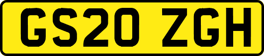 GS20ZGH