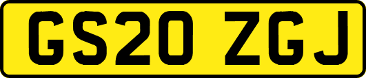 GS20ZGJ
