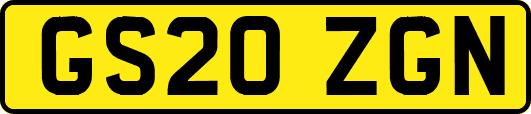 GS20ZGN