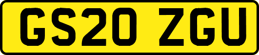 GS20ZGU