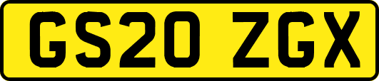 GS20ZGX