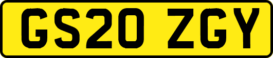 GS20ZGY