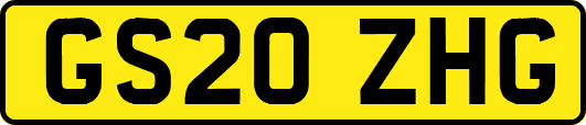 GS20ZHG