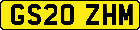GS20ZHM