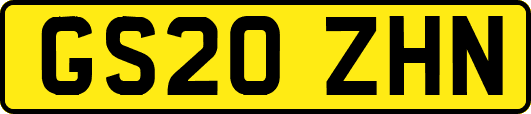 GS20ZHN