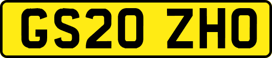 GS20ZHO