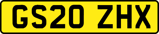 GS20ZHX