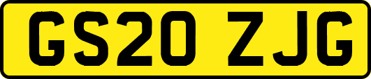 GS20ZJG