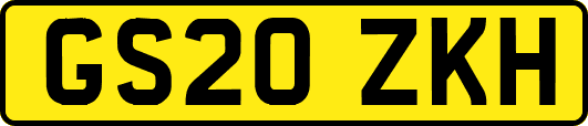 GS20ZKH