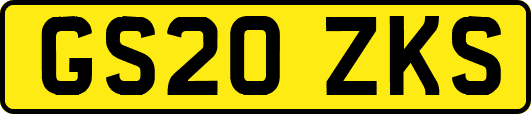 GS20ZKS