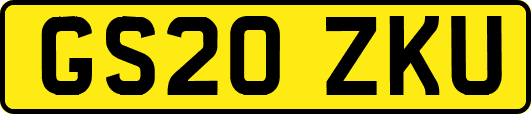 GS20ZKU