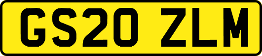 GS20ZLM