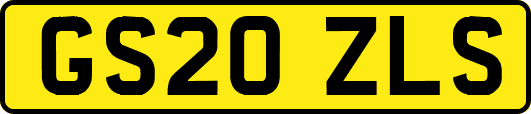 GS20ZLS