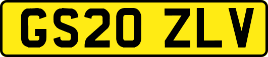 GS20ZLV