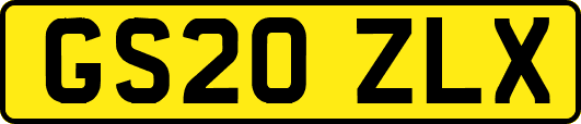 GS20ZLX
