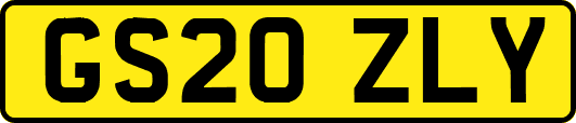 GS20ZLY