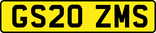 GS20ZMS