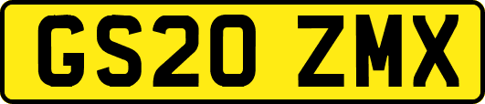 GS20ZMX