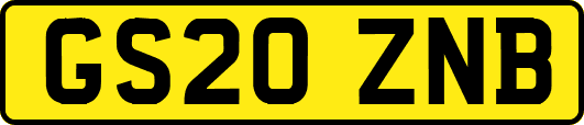 GS20ZNB