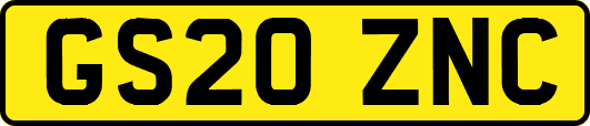 GS20ZNC