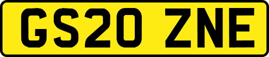 GS20ZNE