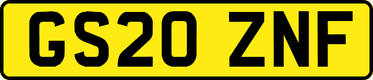 GS20ZNF