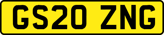GS20ZNG