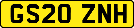 GS20ZNH