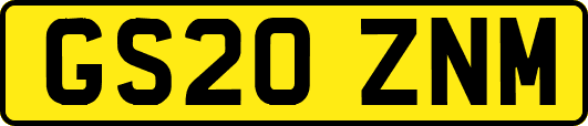 GS20ZNM