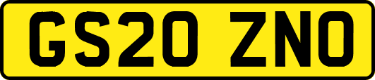 GS20ZNO