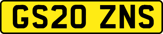 GS20ZNS