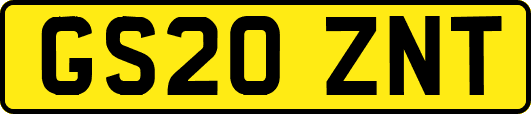GS20ZNT