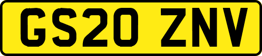 GS20ZNV