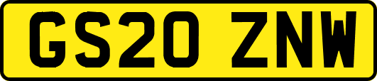 GS20ZNW