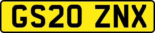 GS20ZNX