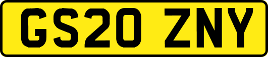 GS20ZNY