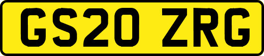 GS20ZRG