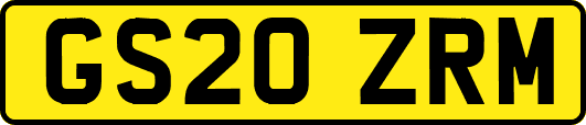 GS20ZRM