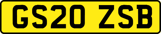 GS20ZSB