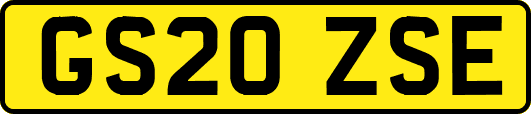 GS20ZSE