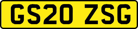 GS20ZSG
