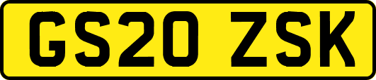 GS20ZSK