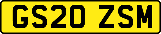 GS20ZSM